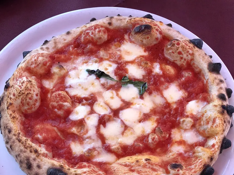 Pizza margherita com manjericão
